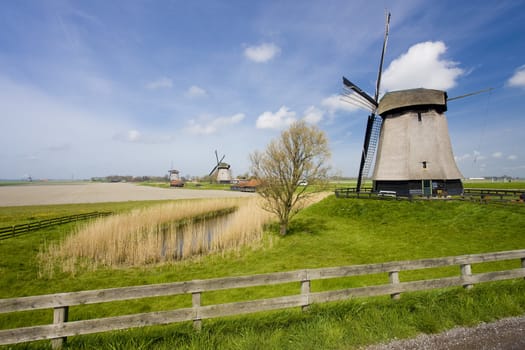 windmills near Alkmaar, Netherlands