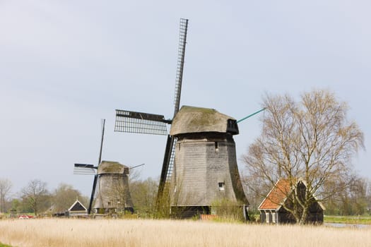 windmills near Alkmaar, Netherlands