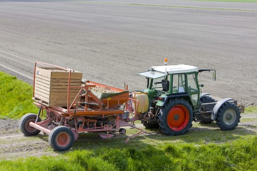 tractor on field, Netherlands