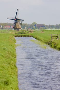 windmill, t''Zwaantje, Friesland, Netherlands