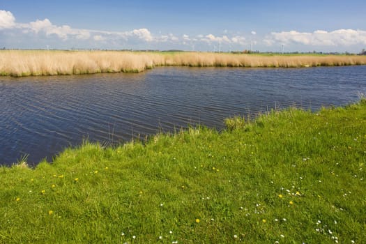 landscape, Friesland, Netherlands