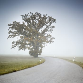 An image of a beautiful landscape with fog in bavaria germany