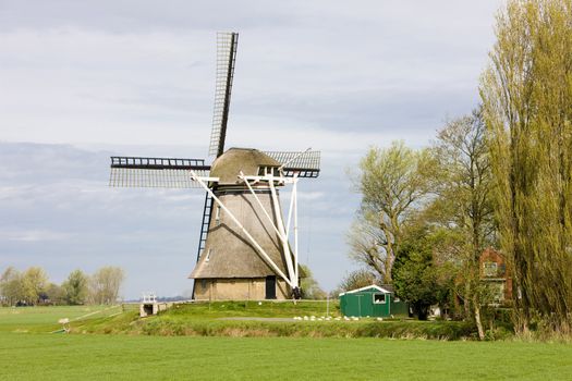 windmill near Broeksterwoude, Friesland, Netherlands