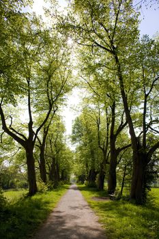 alley, Gelderland, Netherlands