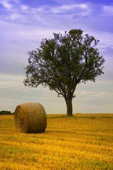 straw ball and a green tree in a field