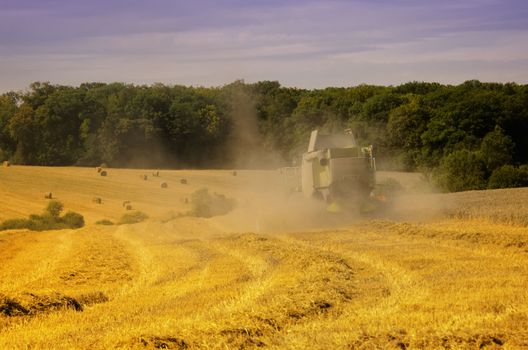 a combine harvester in a field