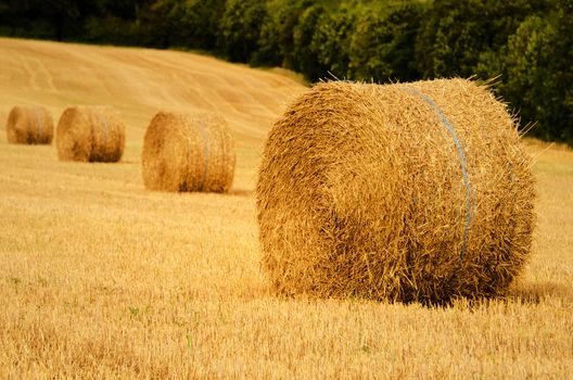 four straw bale in a field