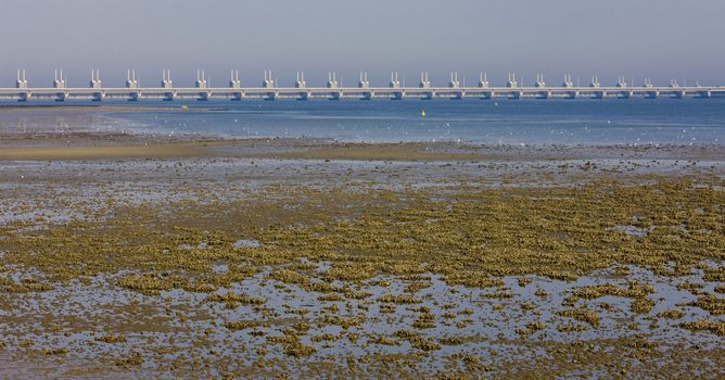 Delta, Zeeland, Netherlands