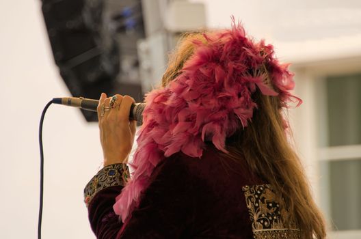 the singer at the microphone