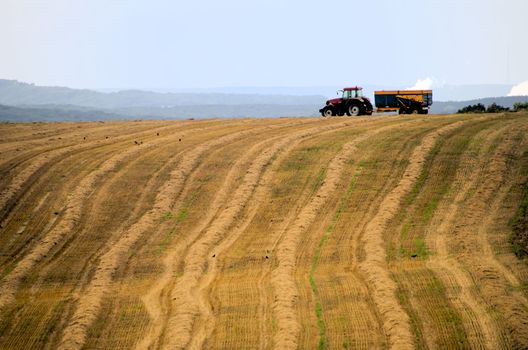 the tractor in the fields