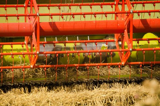combine harvester reaps the corn