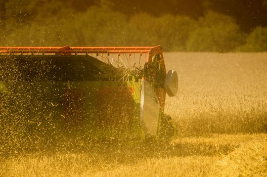 the combine harvester in the field