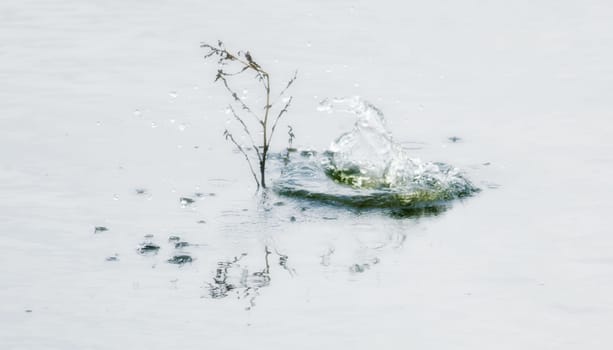a small splash in the water