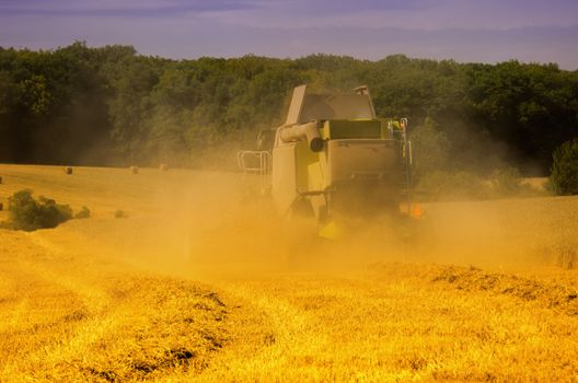 the combine harvester in the field