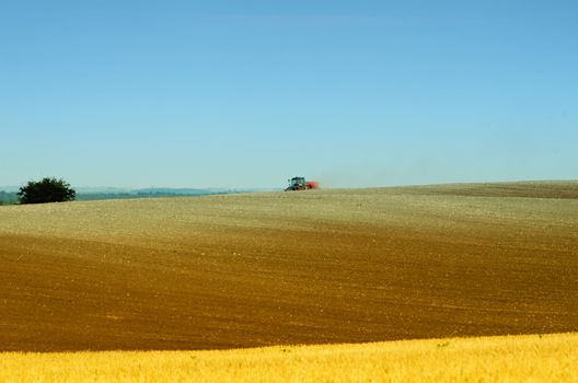 the tractor in the fields