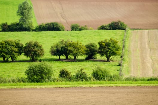 green meadows and fields