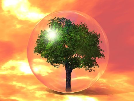 the green tree in the bubble