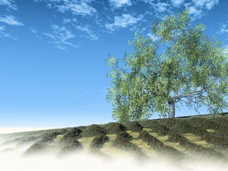 the green tree in the meadows