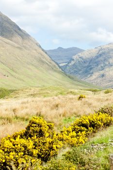 Glenshiel, Highlands, Scotland