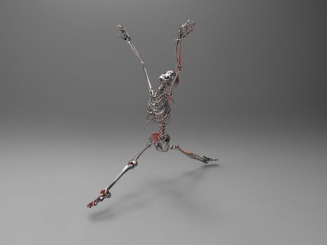 the skeleton