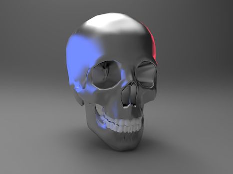the skull