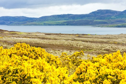 Loch Eriboll, Highlands, Scotland