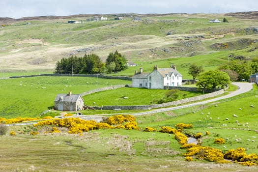 landscape at Armadale Bay, Highlands, Scotland