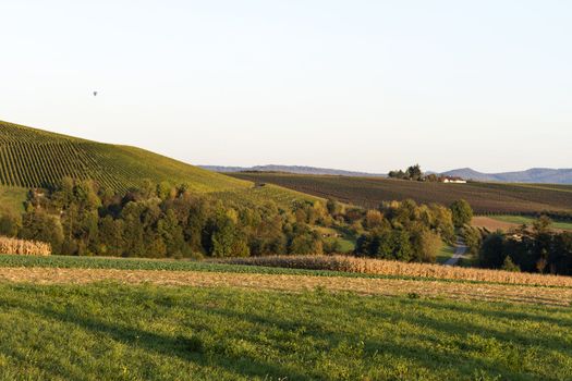 agricultural landscape with vineyards and orchards in south germany