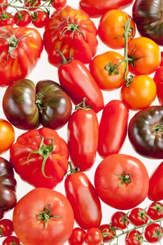 still life of tomatoes