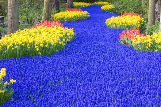 Keukenhof Gardens, Lisse, Netherlands