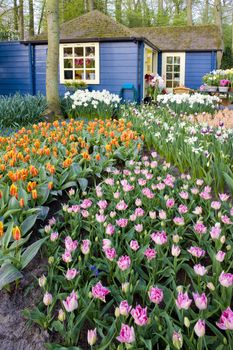 Keukenhof Gardens, Lisse, Netherlands