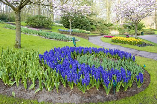 Keukenhof Gardens, Lisse, Netherlands