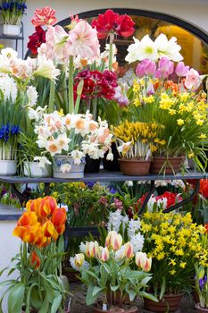 Keukenhof Gardens, Lisse, Netherlands