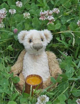 Handmade, the sewed toy: Teddy bear George on a blossoming meadow with a honey keg