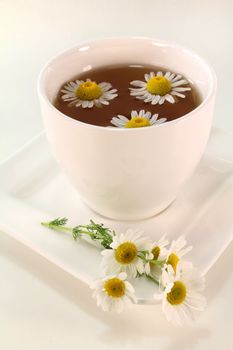 a white cup of chamomile tea with chamomile