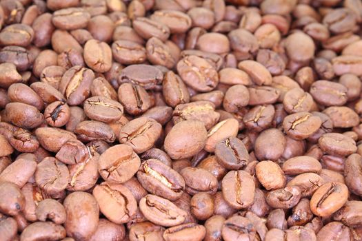 brown fresh coffee beans as a background image