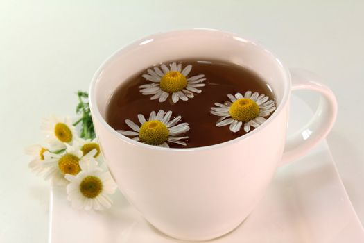 a white cup of chamomile tea with chamomile