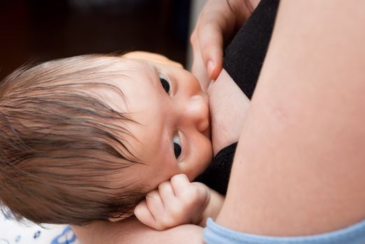 Newborn baby breast feeding breast