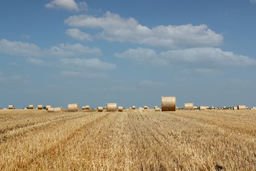 agriculture field with straw bale
