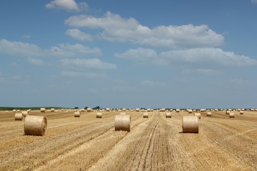 straw bale field