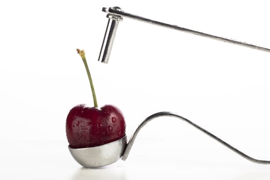 Raw sweet cherry in cherry corer isolated on white background.