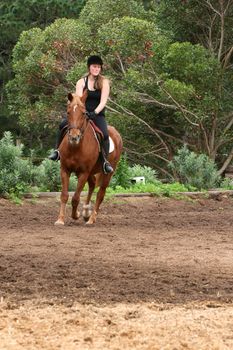 Young female rider on a brown horse