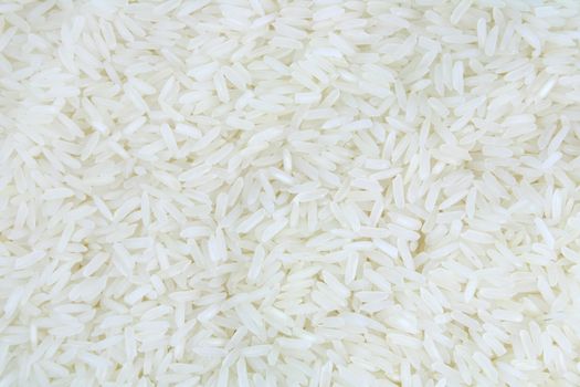 Thai White Jasmine rice background texture