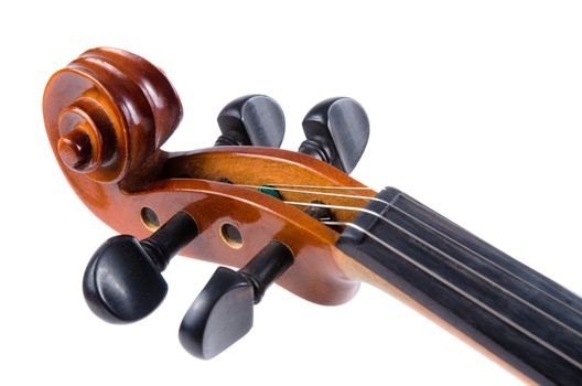 Violin close up isolated on white background.