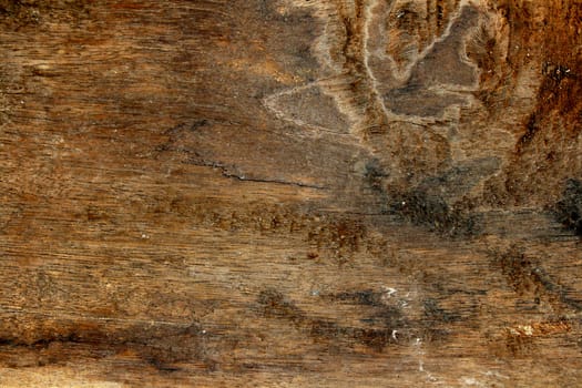 Brown closeup of wood texture