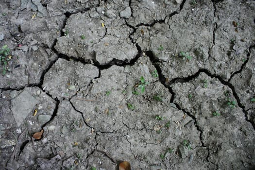 An image of dry soil background