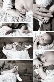 Collection of baby images with a filter effect