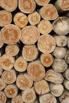 Closeup of firewood stacked for background