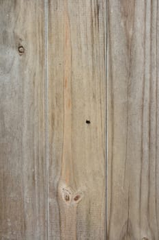 Brown closeup of wood texture