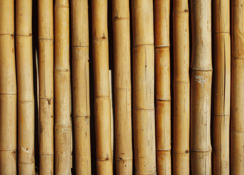 Close-up bamboo background texture with columns